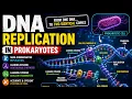 Bacterial DNA Replication Explained in 3D Step-by-Step Animation