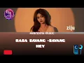 Lagu RASA SAYANG-SAYANG HEY - AMSYAR LEE || HERMIONE MUSIC #coversong #agensihalu