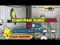 Download Lagu Terapi kecial kuning/pleci lombok 100% ampuh