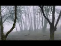 Emir Can İğrek - Bir Karanfil (Tarhan Video Klip)