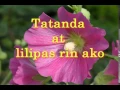 Download Lagu Handog by Florante  With Lyrics