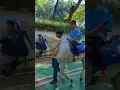 Download Lagu NAIK DELMAN ISTIMEWA - LAGU ANAK