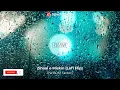 Zihaal e Miskin (Lofi Flip) - The BDM Factory | Javed-Mohsin | Vishal Mishra, Shreya Ghoshal
