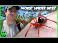 BITTEN by the RED WIDOW My WORST Mistake