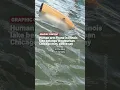 Human arm found in Illinois lake belongs to suburban Chicago man police say