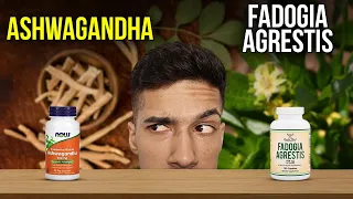 Ashwagandha vs Fadogia Agrestis My Final Verdict