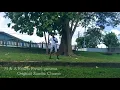 Nadia Batson- Fatt/ Original Zumba Choreo/ @mel.cw234