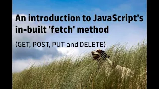 How to use fetch in JavaScript GET POST PUT and DELETE requests