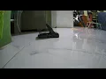 Detik detik tikus kena jebakan perangkap jepret