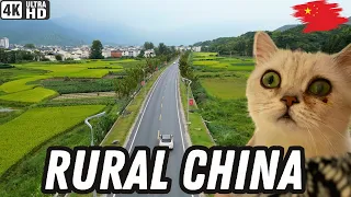 我开车带宠物深入中国乡村