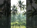Download Lagu Bali magic 💭 - captured by @koming.darmawan