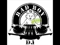 Download Lagu DJ Badboy Livin The Life