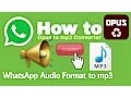 Download Lagu How to Convert WhatsApp Audio Format to mp3 | Opus to mp3 Converter
