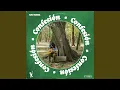 Download Lagu Confesión