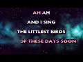 The Be Good Tanyas karaoke - The Littlest Birds