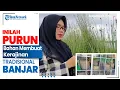 Download Lagu Inilah Purun, Bahan Membuat Kerajinan Tradisional Banjar