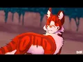 The Other Side of Paradise | COMPLETE Whitestorm & Tigerstar PMV MAP [Eyestrain/Flashing]