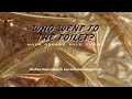 [Oceanb.] Who went to the toilet? – moyo, george, SOLE, THAMA (Vietsub)