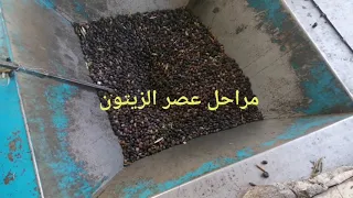 عصر الزيتون 2021 زيت الزيتون زيتون زيت الزيتون عصر الزيتون 