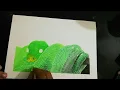 Green tree python drawing how to draw a snake