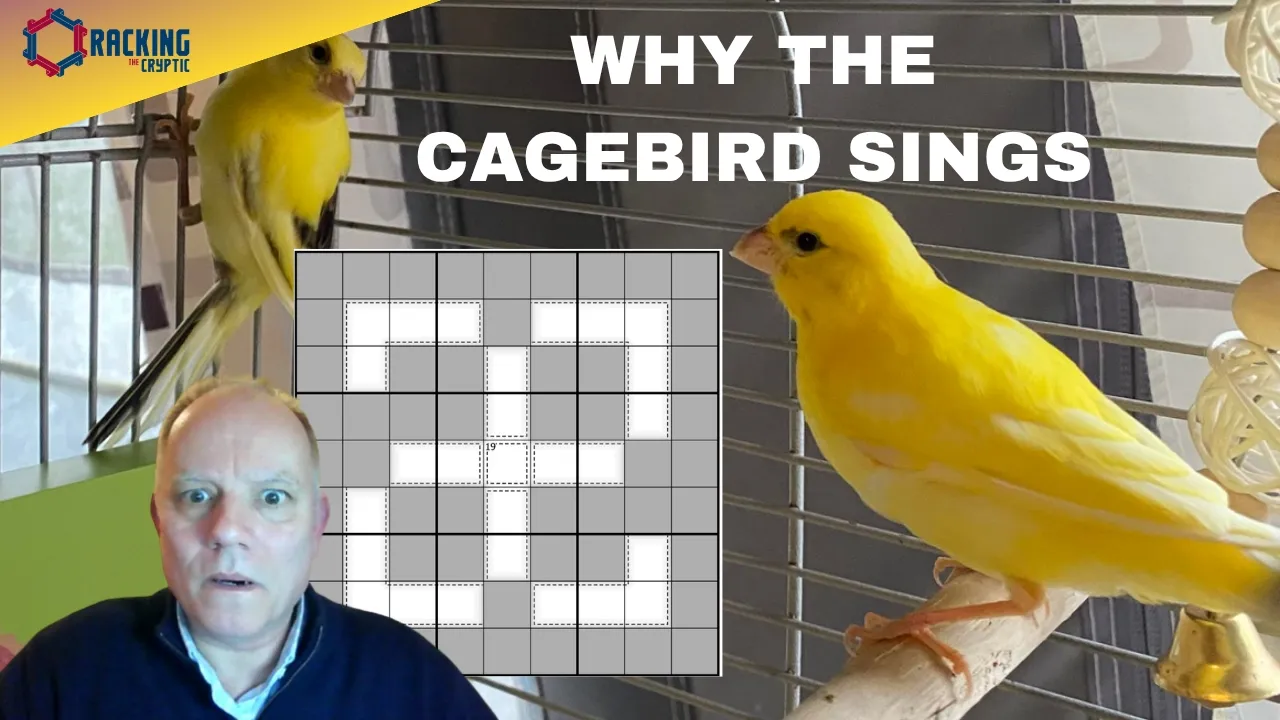 Say What You See!