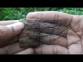 Download Lagu Lulang Kebo Landoh ASLI #Saridin #Antique