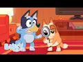 Download Lagu Shake It Out | Musical Statues - Series 3 | Bluey