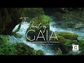The Heart of Gaia - 528Hz Frequency of Love Renewal