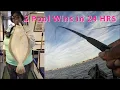 Back to Back Pool Fish Wins in 24 HRS Big Mohawk
