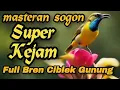 Download Lagu SUPER KEJAM📍MASTERANSOGON FULL ISIAN BREN CIBLEK GUNUNG#sogon #sogokontong