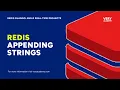 Redis Appending to Strings Using APPEND and Measuring with STRLEN