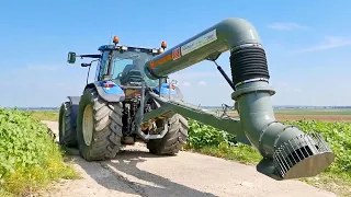 यह अज़ीबो गरीब मशीन देखें किसानों को कैसे दे रही है फ़ायदा || Powerful Machine for Farmers