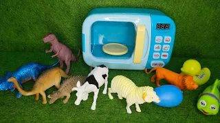 Open ajaib ada domba, bebek, sapi, ikan, telur, singa, T Rex dan Dinosaurus lainnya.