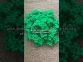 for tree cos btw