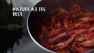 Living off the Sea in the Pacific Northwest | Chapter 3 Episode 26 | The Wayward Life