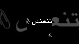 اغاني طيور بيبي أنه راح احكي بصراحه 