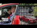 Download Lagu Trump looking sell his bright-red Tesla as feud with Elon Musk continues: report
