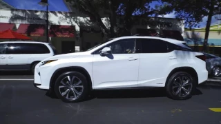 Germain Lexus of Naples RX 350