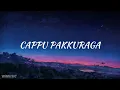 Download Lagu CAPPU PAKKURAGA,  (lirik)