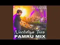 Lagu Nachdiyo Taro (Pamru Mix)