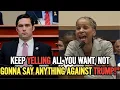 GOP Rep Totally DESTROY FRUSTRATED FAR-LEFT Activist With His Silence In A Heated Hearing