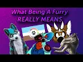 What Being A Furry Really Means