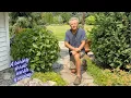Quick And Easy Pruning on the Bailey Compact American Cranberrybush