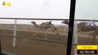 الشوط 16 الكايده لـ حمد محمد عويمر الدرعي شارة الاتحاد 2020 1 10 الرقيعات ايذاع 