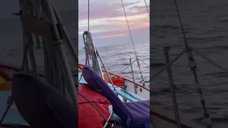 Stuck near the Shipping Lanes, Mid Atlantic🌎