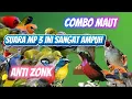 Download Lagu Suara Pikat Burcil Kombinasi Kolibri Kelapa Prenjak Lumut Sogon SANGAT Ampuh ANTI ZONK