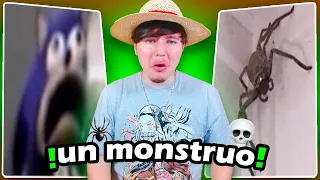 ME ENCONTRÉ A LA ARAÑA MÁS GRANDE DEL MUNDO 🕷️💀