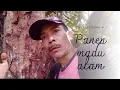 Download Lagu Petualang alam#panen madu#madudangaram 