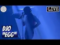 Djo Egg LIVE