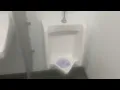 261 Walgreens restroom